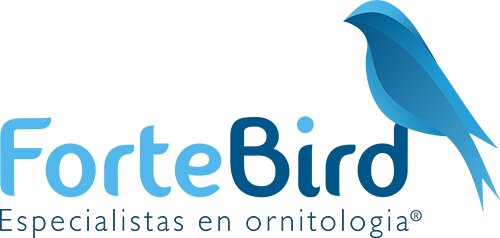 ForteBirdlogo 500x238 1